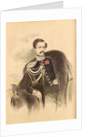 Portrait of Count Nikolay Vladimirovich Adlerberg by Anonymous