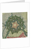 Plan of the Citadel of Lille, 1709 by Anonymous