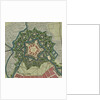 Plan of the Citadel of Lille, 1709 by Anonymous