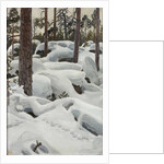 The Lair of the Lynx, 1908 by Anonymous