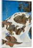 Snow on the cliffs, 1901 by Anonymous