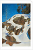Snow on the cliffs, 1901 by Anonymous