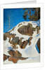Snow on the cliffs, 1901 by Anonymous