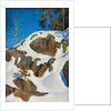 Snow on the cliffs, 1901 by Anonymous