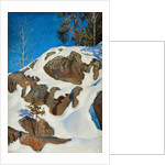 Snow on the cliffs, 1901 by Anonymous