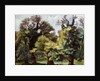 Villa Borghese gardens, 1915-1920 by Anonymous