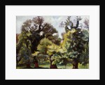 Villa Borghese gardens, 1915-1920 by Anonymous