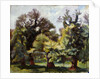 Villa Borghese gardens, 1915-1920 by Anonymous