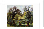 Villa Borghese gardens, 1915-1920 by Anonymous