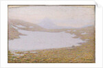 Spring in the High Mountains, 1912 by Anonymous