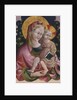 Virgin and Child with Book, 15th century by Anonymous