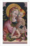 Virgin and Child with Book, 15th century by Anonymous