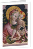 Virgin and Child with Book, 15th century by Anonymous