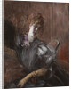 Young Woman, seated, wearing gloves, ca 1897 by Anonymous