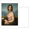 Nude Woman (Monna Vanna), Second decade of the 16th century by Anonymous