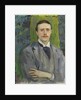 Portrait of the Painter Jacques-Émile Blanche, c. 1886 by Anonymous