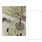 Boulevard Seen from Above, 1880 by Anonymous