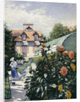 Dahlias, Garden at Petit Gennevilliers, 1893 by Anonymous