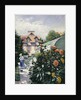 Dahlias, Garden at Petit Gennevilliers, 1893 by Anonymous