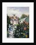 Dahlias, Garden at Petit Gennevilliers, 1893 by Anonymous