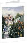Dahlias, Garden at Petit Gennevilliers, 1893 by Anonymous