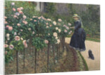 Roses, Garden at Petit Gennevilliers, 1886 by Anonymous