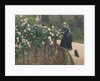 Roses, Garden at Petit Gennevilliers, 1886 by Anonymous