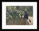 Roses, Garden at Petit Gennevilliers, 1886 by Anonymous