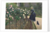 Roses, Garden at Petit Gennevilliers, 1886 by Anonymous