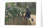Roses, Garden at Petit Gennevilliers, 1886 by Anonymous