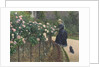 Roses, Garden at Petit Gennevilliers, 1886 by Anonymous