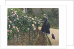 Roses, Garden at Petit Gennevilliers, 1886 by Anonymous
