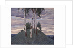 Birches, 1913 by Anonymous