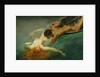 The Siren (La Sirena), ca 1893 by Anonymous