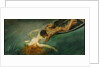 The Siren (La Sirena), ca 1893 by Anonymous