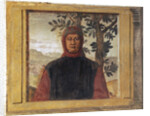 Francesco Petrarca by Anonymous