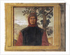 Francesco Petrarca by Anonymous