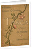 Cover of the Libretto of opera Tosca by Giacomo Puccini, 1899 by Anonymous