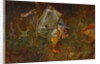 Gnome carrying a weather frog by Anonymous
