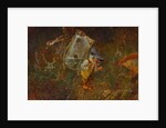 Gnome carrying a weather frog by Anonymous