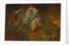 Gnome carrying a weather frog by Anonymous