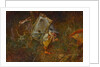 Gnome carrying a weather frog by Anonymous