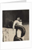 Sensuality, 1894 by Anonymous