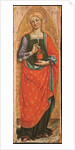 Mary Magdalene, ca 1481 by Anonymous