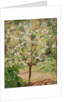 Blooming apple tree, 1924 by Anonymous