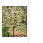 Blooming apple tree, 1924 by Anonymous