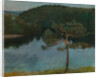 Pine tree by the shore, 1900 by Anonymous
