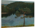 Pine tree by the shore, 1900 by Anonymous