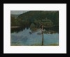 Pine tree by the shore, 1900 by Anonymous