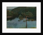 Pine tree by the shore, 1900 by Anonymous